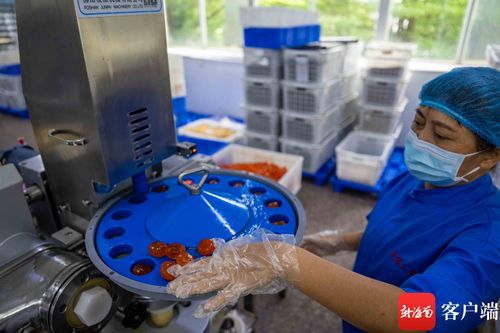 中秋月圓前奏曲 海口老牌食品廠馬力全開，烘出瓊島團圓味